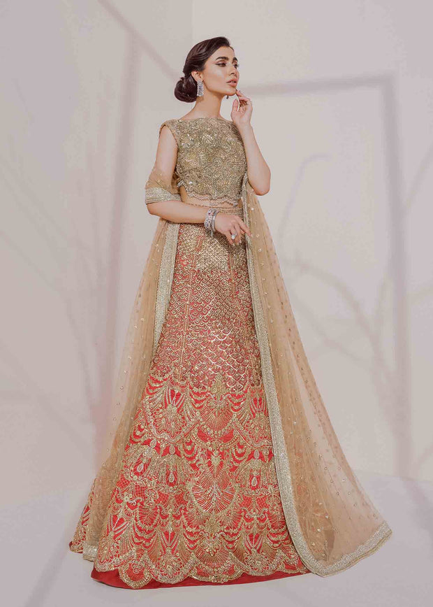 Indian Red Bridal Lehenga with Golden Choli 2022