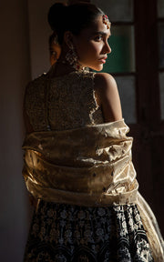 Indian Royal Blue Lehenga Choli