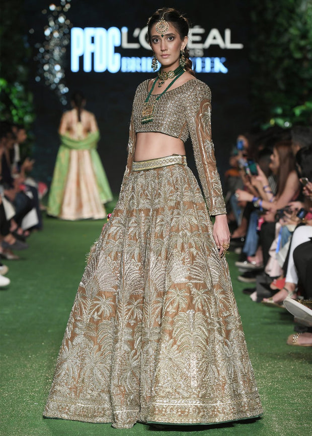 Indian Bridal Choli Lehnga for Wedding Front Look
