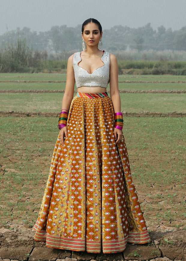 Indian Bridal Lehnga Choli Dress for Wedding Front View