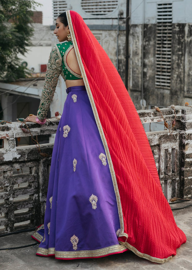 Indian Lehnga Choli for Bride in Elegant Style Backside View