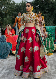 Indian Red Lehnga with Choli for Wedding Front View