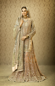 Latest  Indian Wedding Dress for Bride
