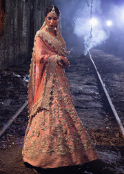Ivory Bridal Maxi for Walima