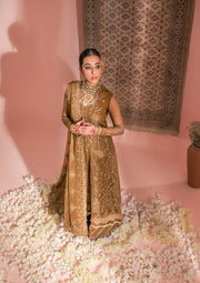 Kameez Trouser Pakistani Wedding Dress