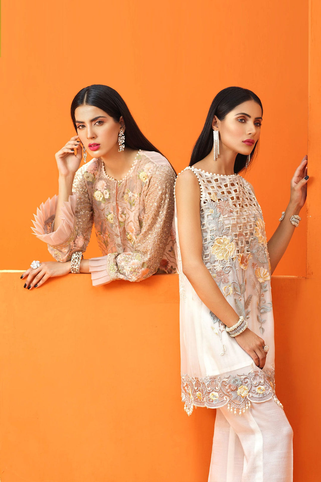 Beautiful Pakistani fancy dress with price 1