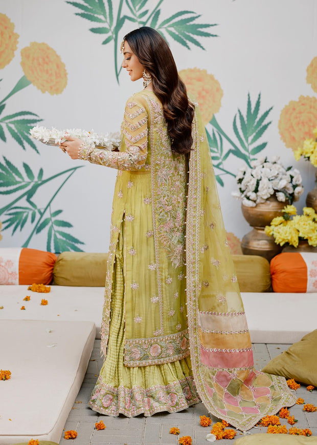 Latest Angrakha Kameez Trouser Dupatta Pakistani Wedding Dress