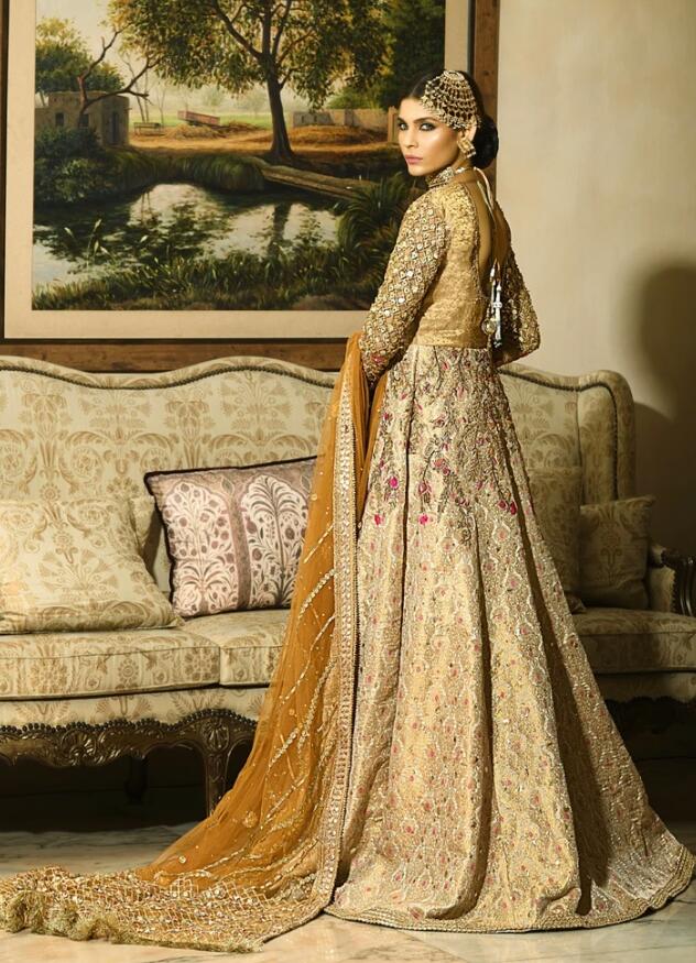 Latest Bridal Lehnga for Walima Backside