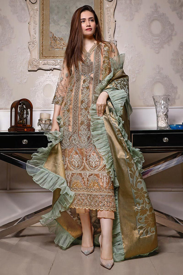 Latest Chiffon Wear 2020 in Skin Color 