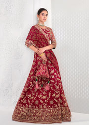 Latest Deep Red Lehenga Choli Dupatta Indian Bridal Dress