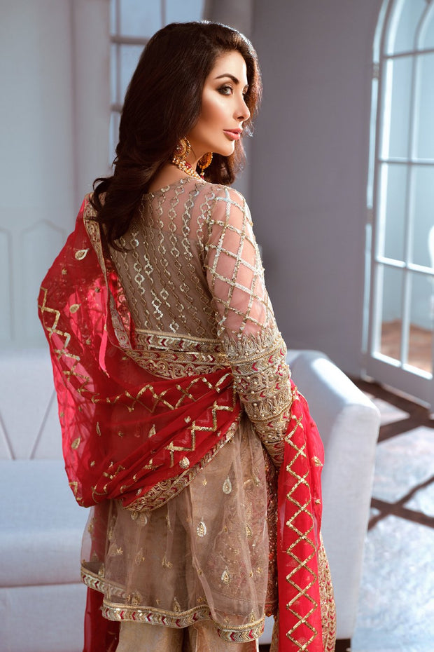 Latest Designer Chiffon Party Wear Backside