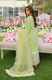 Latest Elegant Light Green Salwar Kameez Pakistani Eid Dress