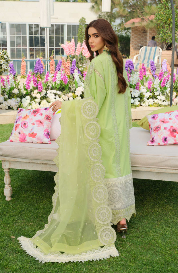 Latest Elegant Light Green Salwar Kameez Pakistani Eid Dress