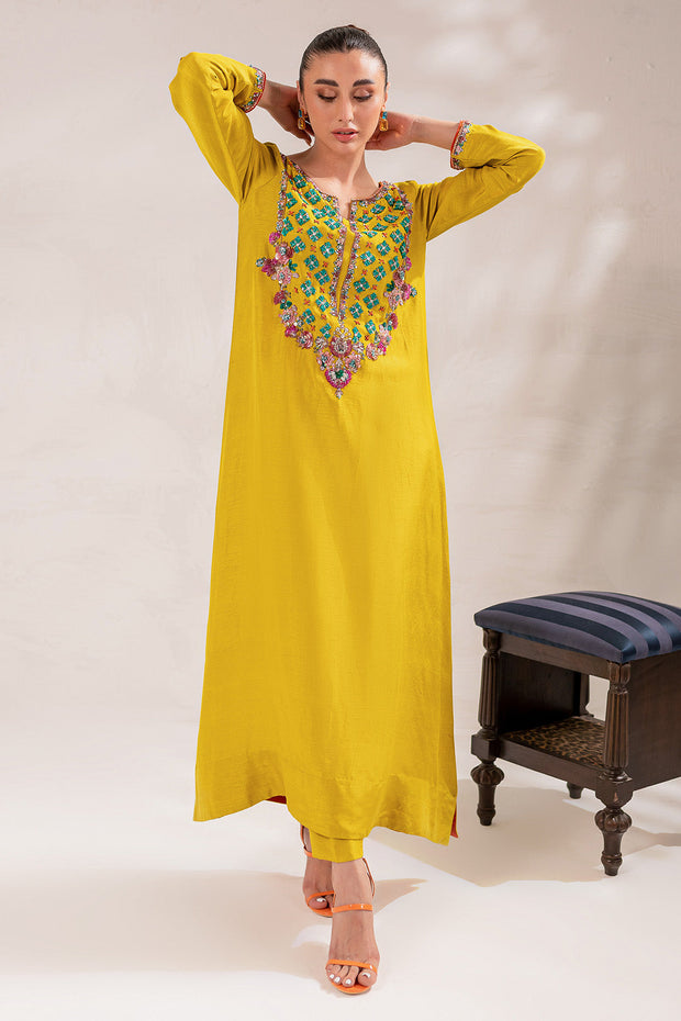 Latest Embellished Kameez Trouser Raw Silk Pakistani Eid Dress