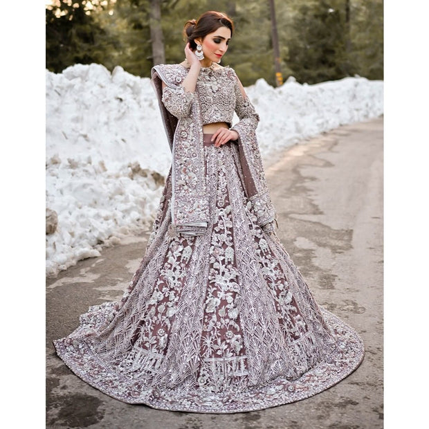 Latest Embellished Lehenga Choli and Dupatta Dress