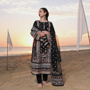 Latest Embroidered Kameez and Trouser Pakistani Black Dress