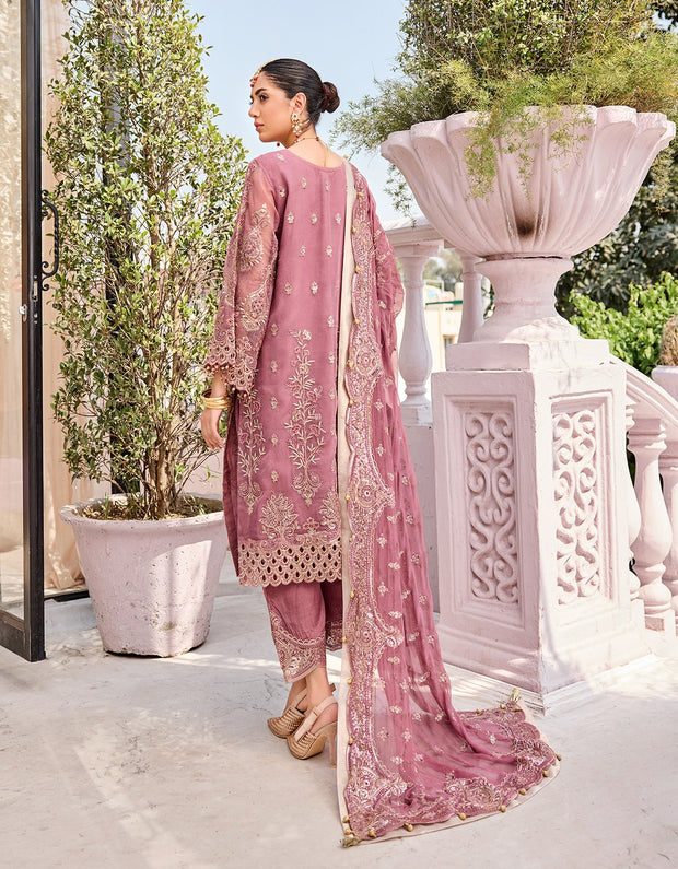 Latest Embroidered Organza Salwar Trouser Pakistani Party Dress