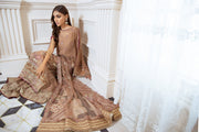 Latest Formal Dress Pakistani in Beige Shade Designer