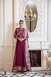 Latest Frock Dress Pakistani in Magenta Shade