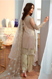 Latest Luxury Chiffon Dress for Party Backside View