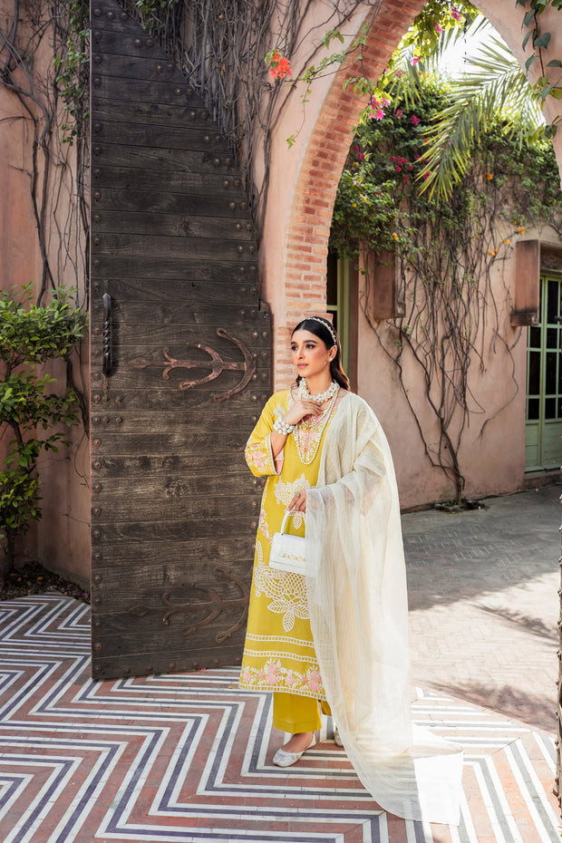 Latest Mustard Embroidered Kameez Trouser Pakistani Eid Dress
