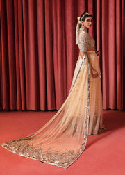 Latest Net Lehenga Choli and Dupatta Bridal Dress Pakistani