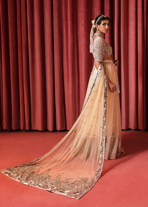 Latest Net Lehenga Choli and Dupatta Bridal Dress Pakistani