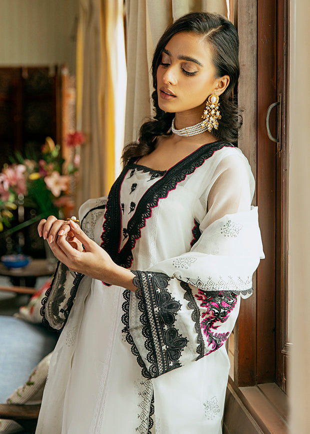 Latest Organza Kameez Trouser Embroidered Pakistani Eid Dress