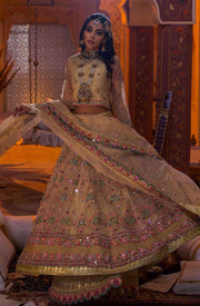 Latest Pakistani Bridal Choli Lehenga Dress in Gold