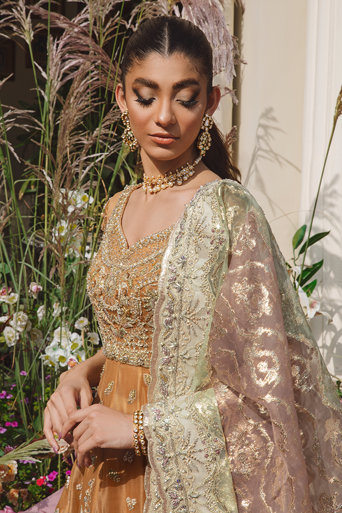 Elegant Pakistani Bridal Dress - Pishwas Frock Lehenga Style