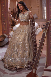 Latest Pakistani Bridal Mirror Lehenga Choli Dress