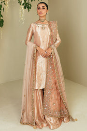 Latest Pakistani Bridal Sharara Suit in Tissue