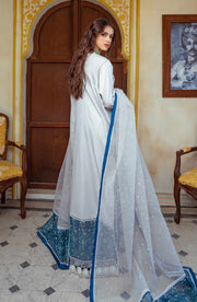 Latest Pakistani Embroidered Suit in Kameez Trouser Style
