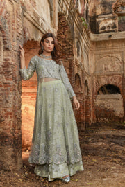 Latest Pakistani Gown and Wedding Lehenga Dress in Net