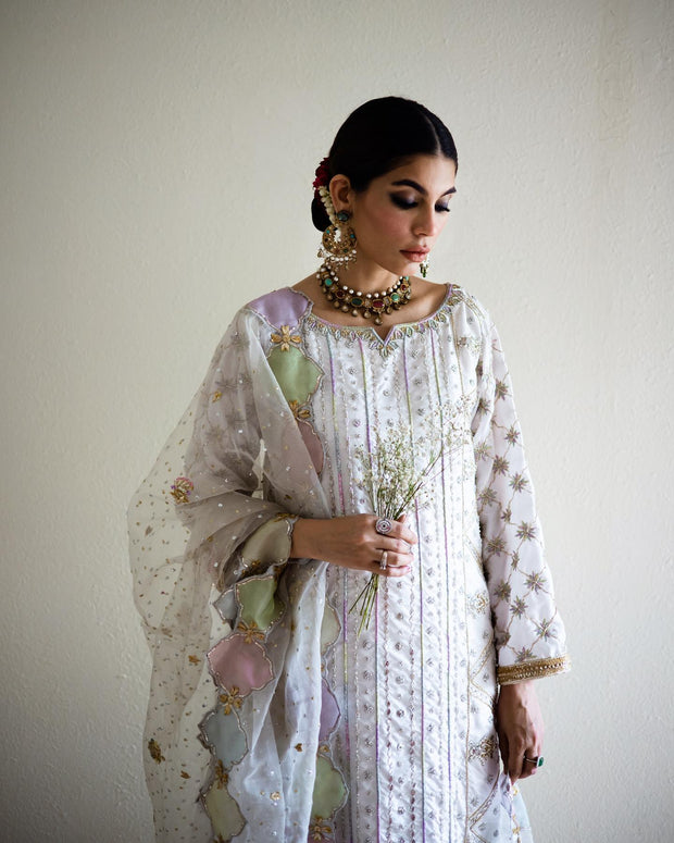 Latest Pakistani Long Kameez with Trousers and Dupatta Dress