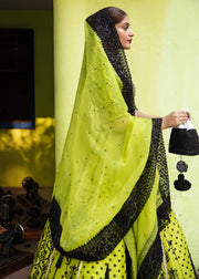 Latest Pakistani Neon Green Lehenga Bridal with Choli