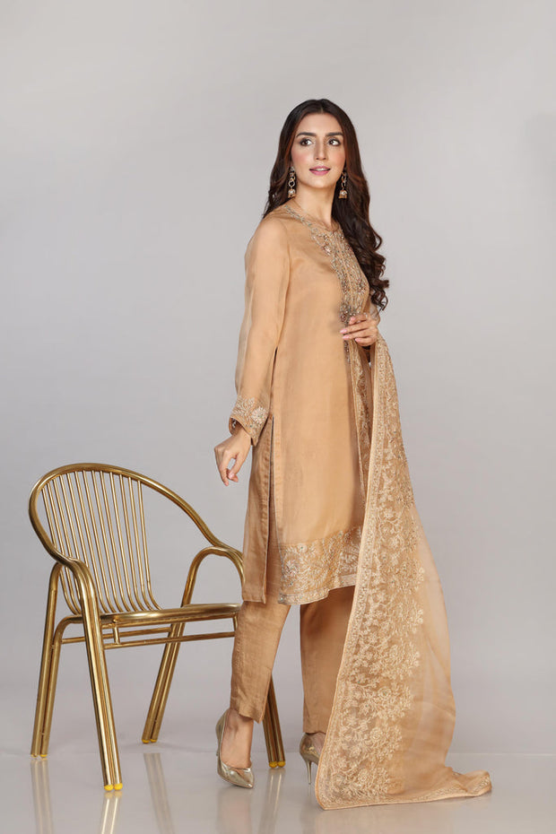 Latest Pakistani Party Dress in Organza Kameez Trouser Style