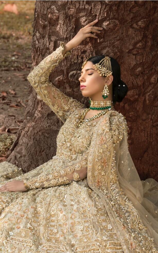 Latest Pakistani Walima Dress for Wedding Close Up