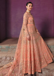 Latest Pakistani Wedding Dress in Organza Pishwas Frock Style