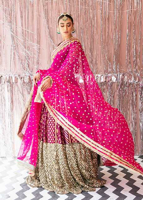 Latest Plum Lehenga Choli and Dupatta Pakistani Bridal Dress