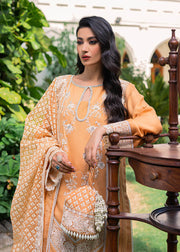 Latest Premium Orange Dress Pakistani in Salwar Kameez Style