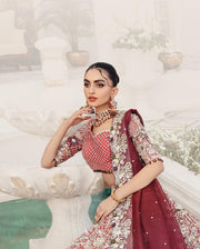 Latest Red Lehenga Choli Dupatta Pakistani Bridal Dress