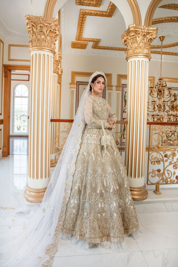 Latest Royal Pakistani Wedding Gown in Premium Net