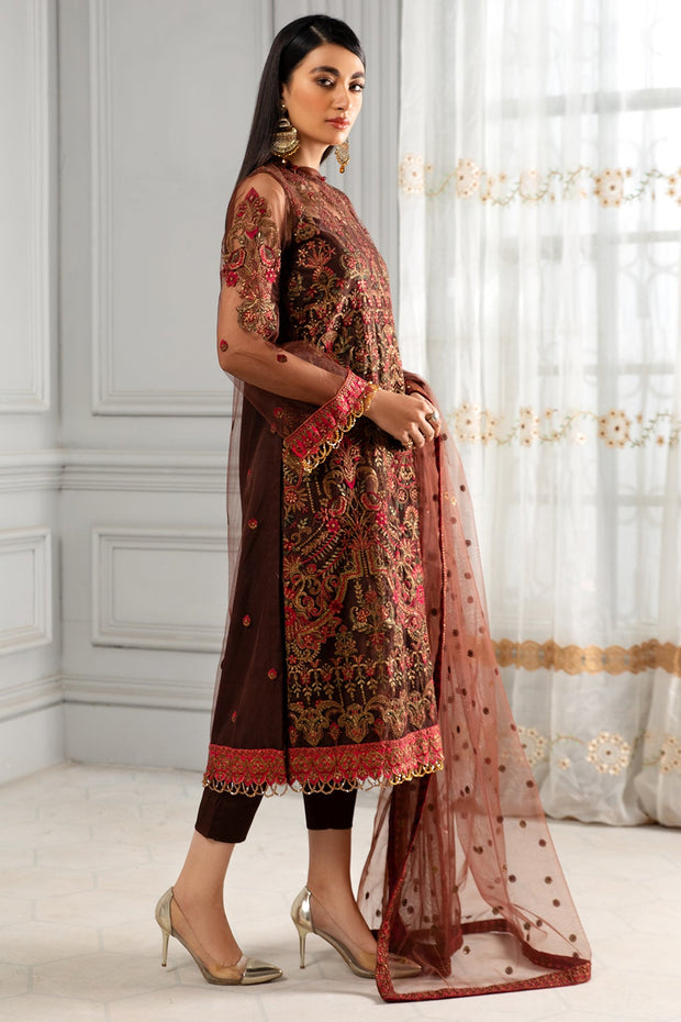 Latest Salwar Kameez Online USA in Brown Shade 2022