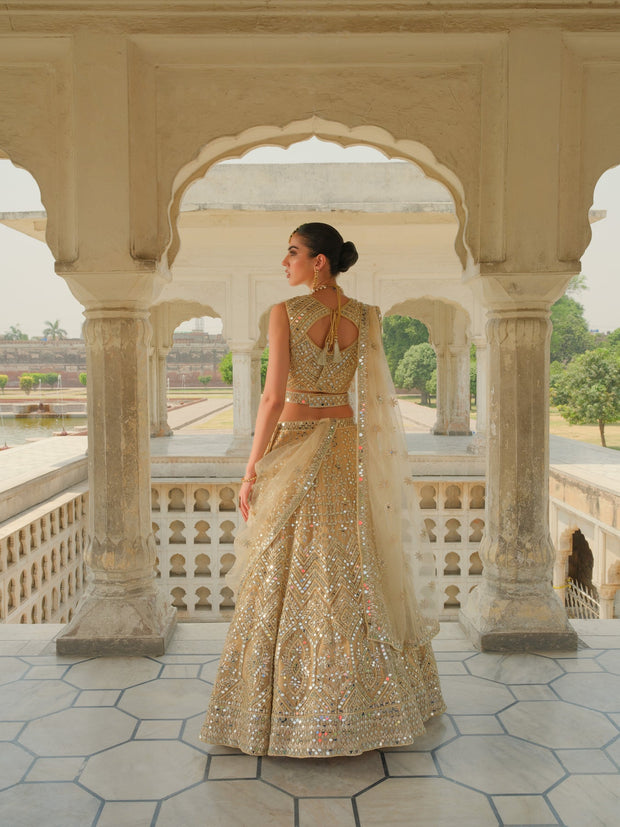 Latest Sleeveless Choli Lehenga Pakistani Wedding Dress