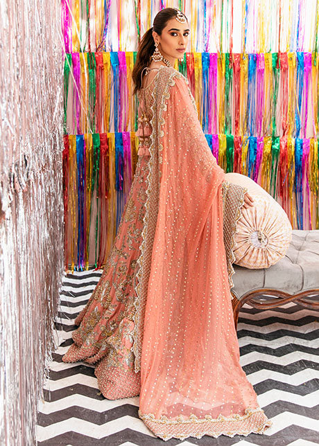 Latest Traditional Coral Lehenga Choli Pakistani Bridal Dress