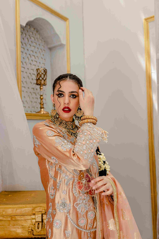 Latest Traditional Pakistani Dress in Kameez Trouser Style