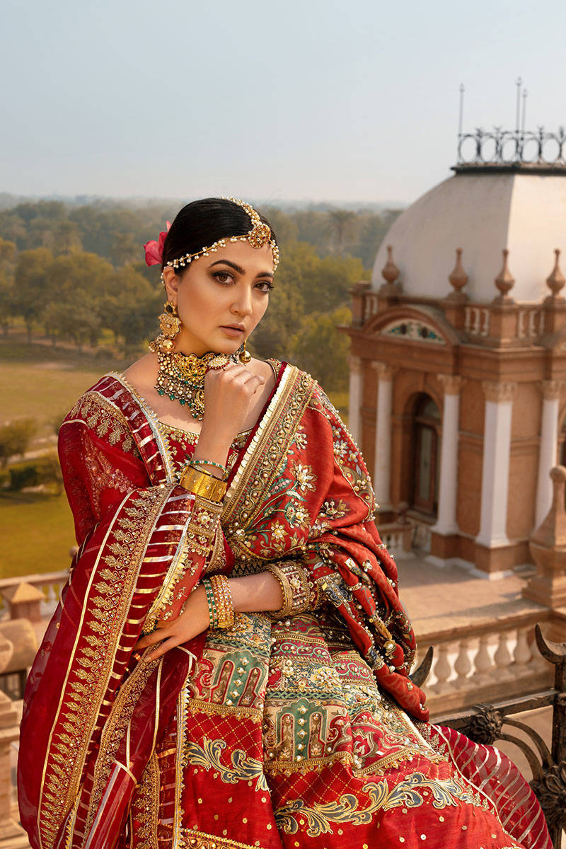 Latest Traditional Raw Silk Lehenga Choli Red Dress Bridal