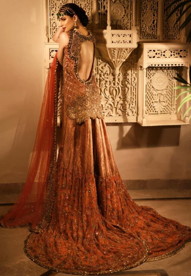 Latest Trail Wedding Lehnga in Orange Red Color Backside