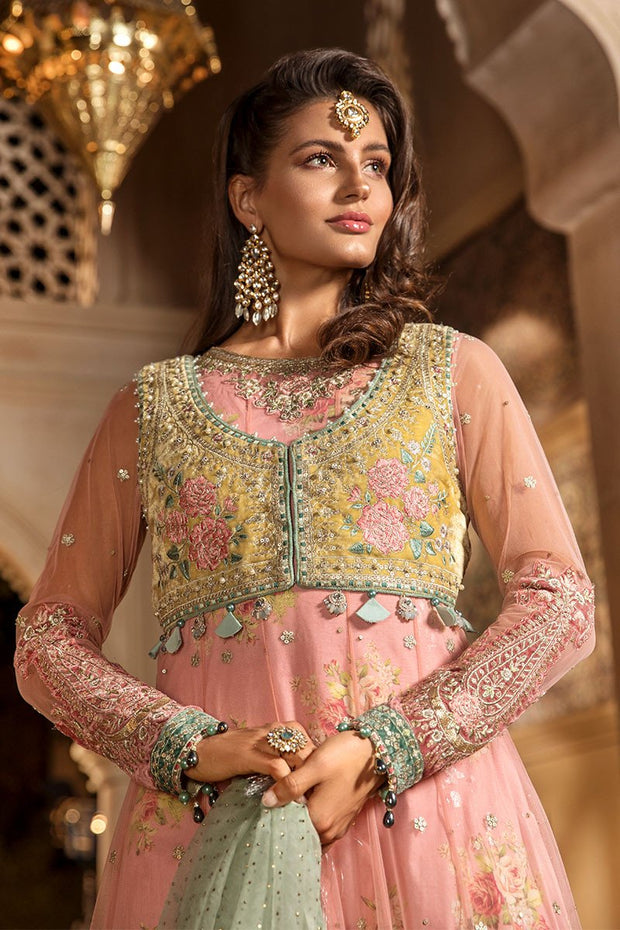 Latest Embroidered Pakistani Designer Dress in Pink Color Neckline View